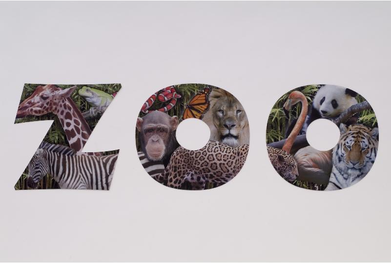 zoo letters
